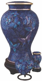 Etienne Blue Butterfly